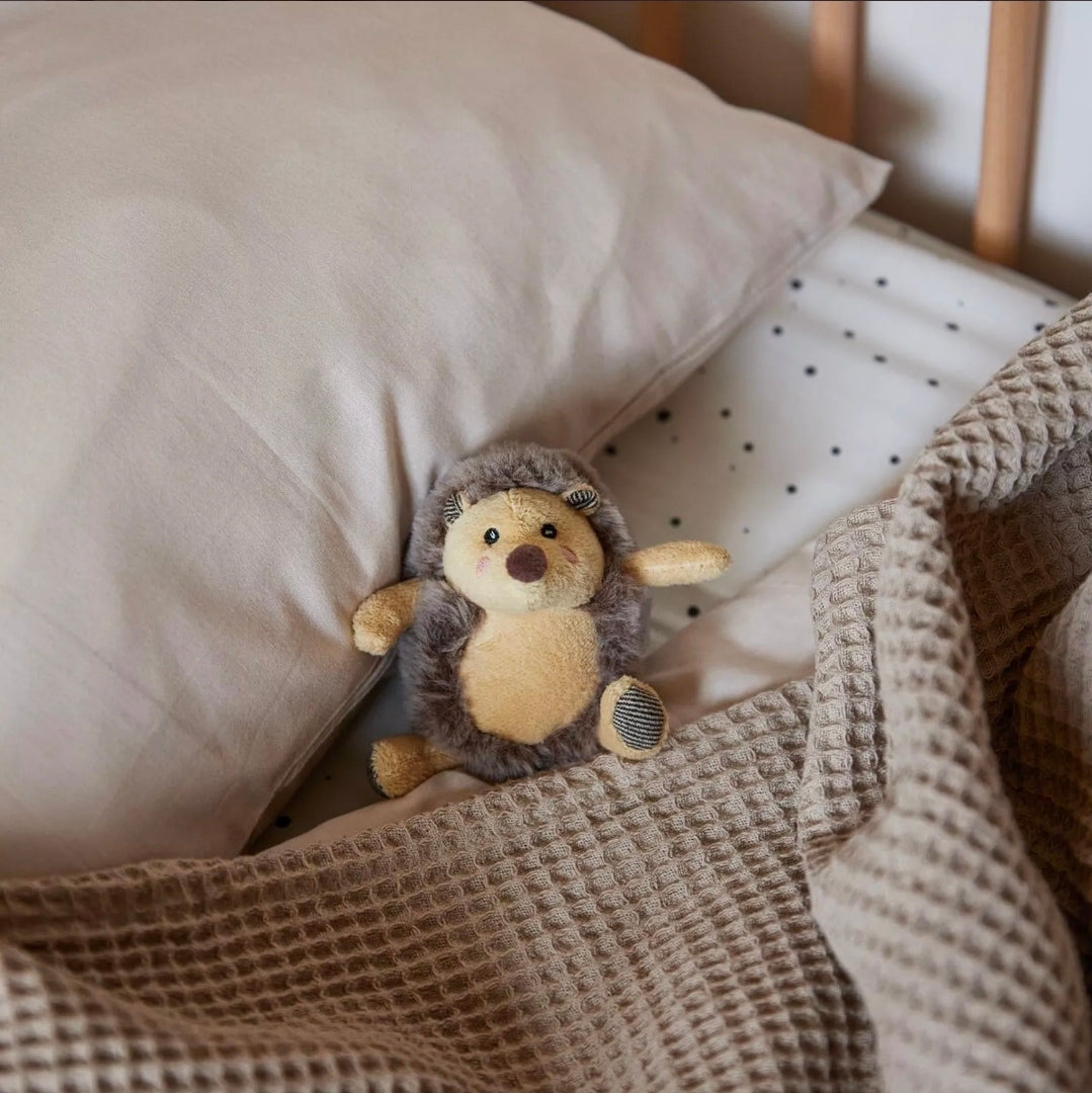 🦔 Hérisson et son hochet